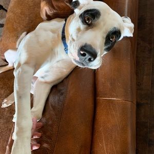 Meet your Posher, Ethan